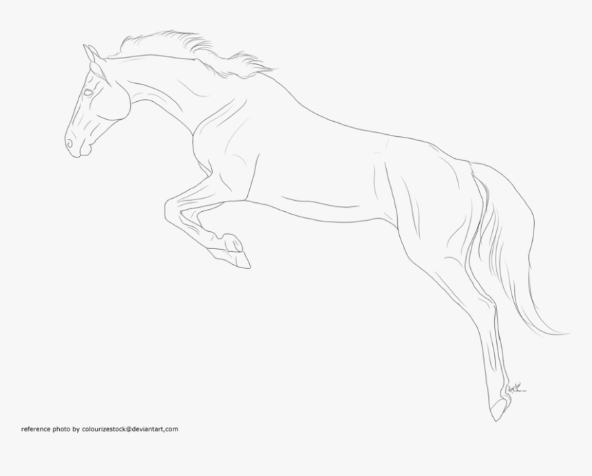 Horse Lineart Favourites By Lettersfromhere On Deviantart - Jumping Horse Line Art, HD Png Download