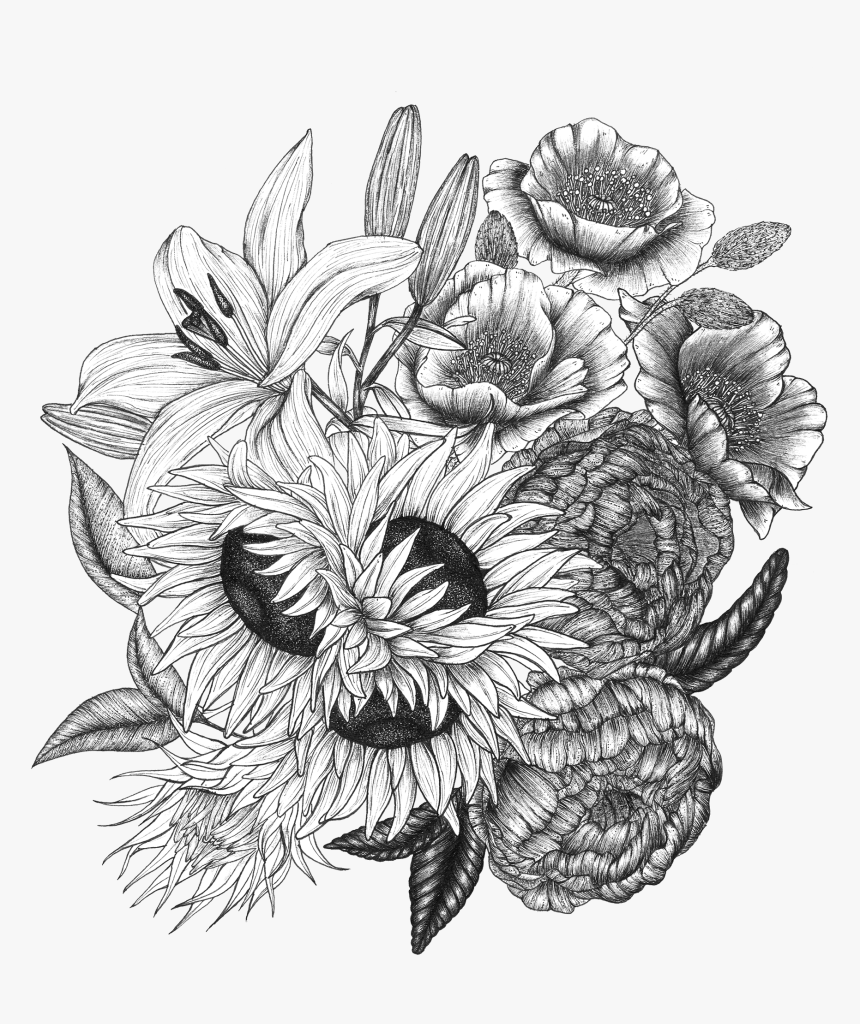Pen And Ink Botanical Art, HD Png Download