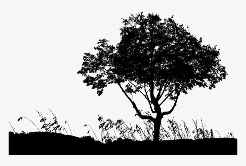 Silhouette, HD Png Download
