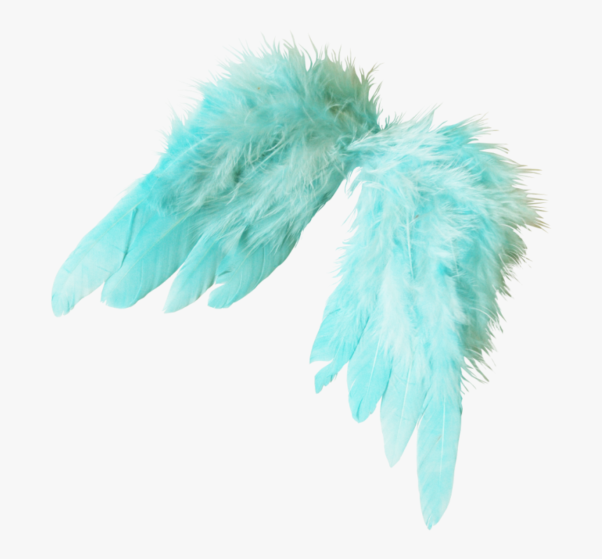 Feather, HD Png Download