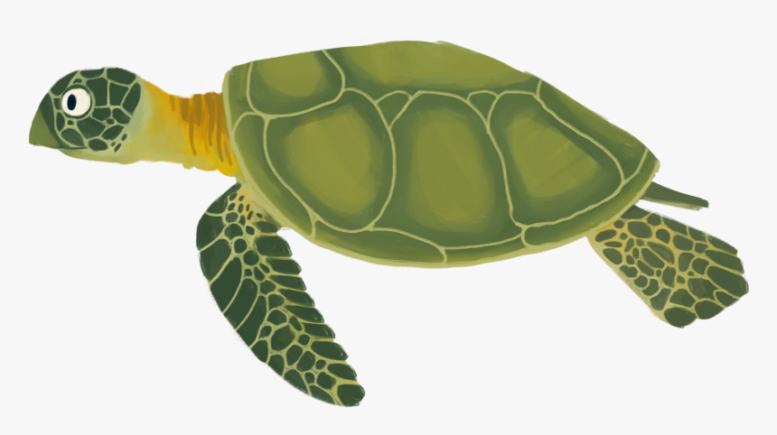 Background Category - Sea Turtle Cartoon Png, Transparent Png