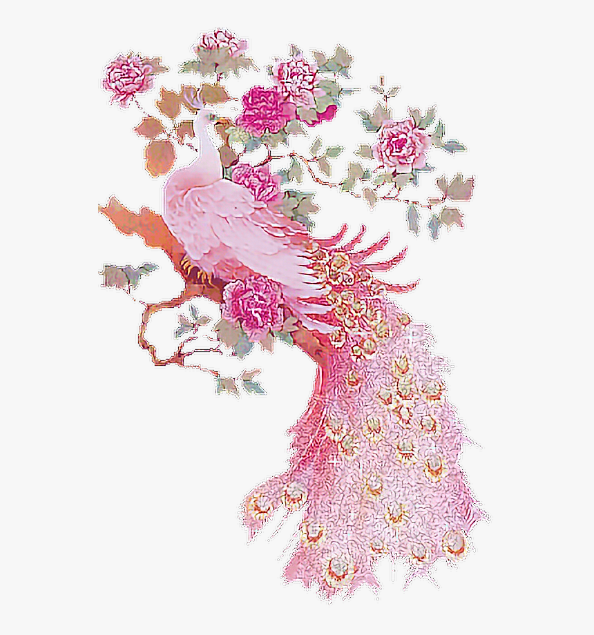 Pink Peacock Art, HD Png Download