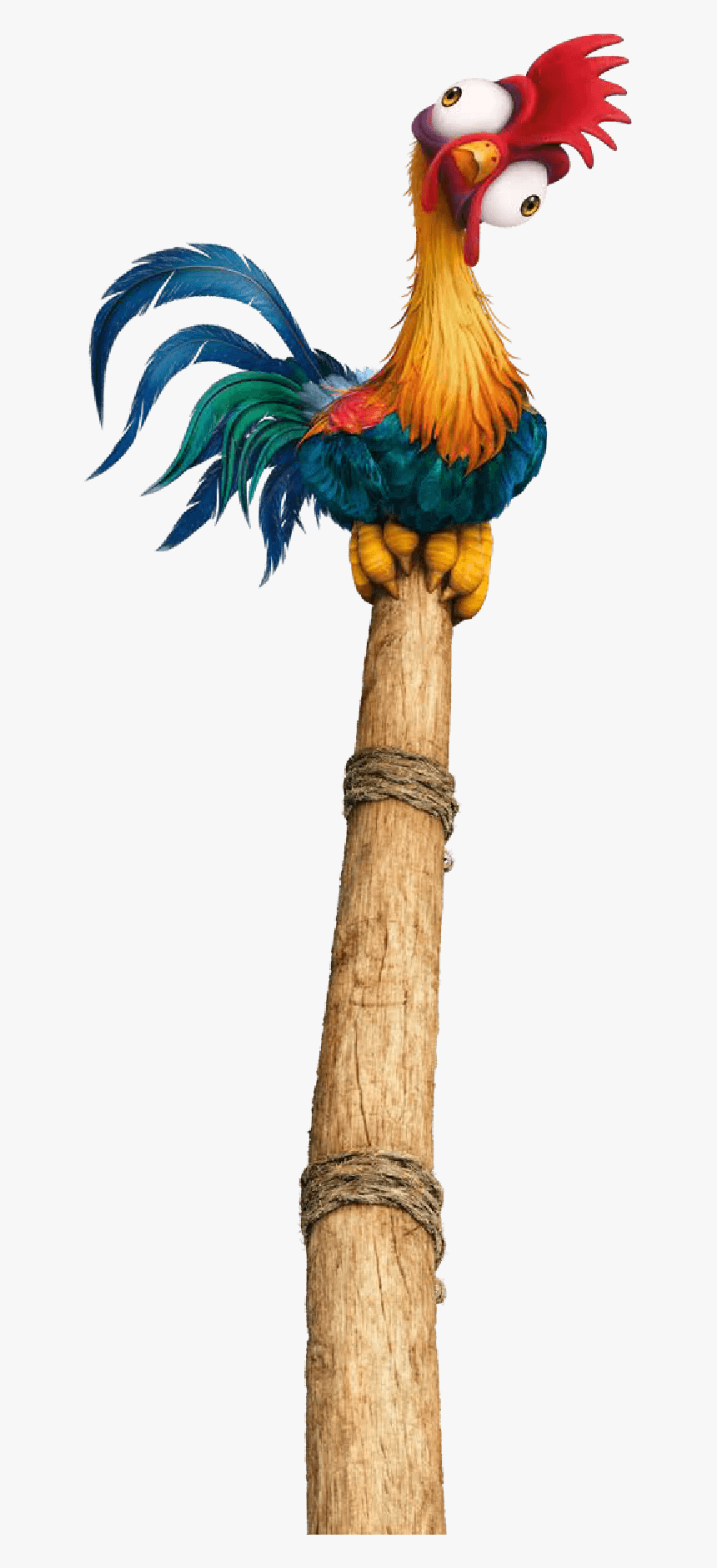 Moana Png - Macaw, Transparent Png