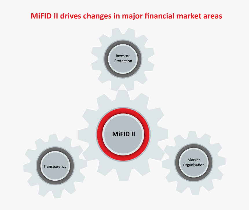 Circle, HD Png Download