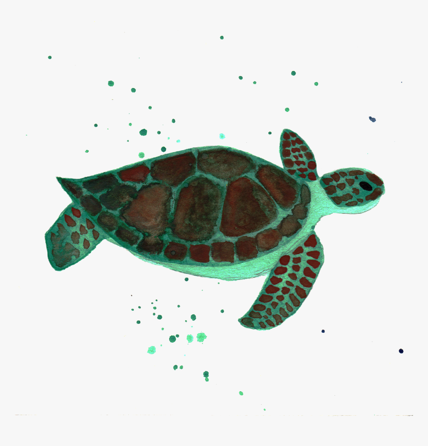 Sea Turtle By Chrystal Elizabeth - Sea Turtle, HD Png Download