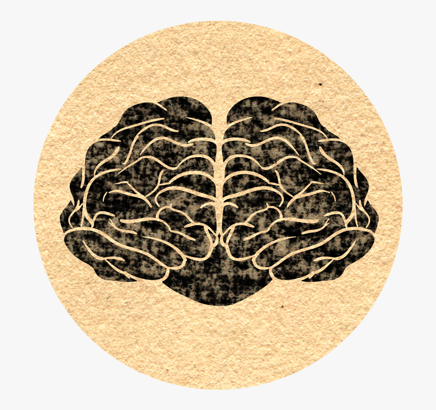 Molly Illustrates, HD Png Download