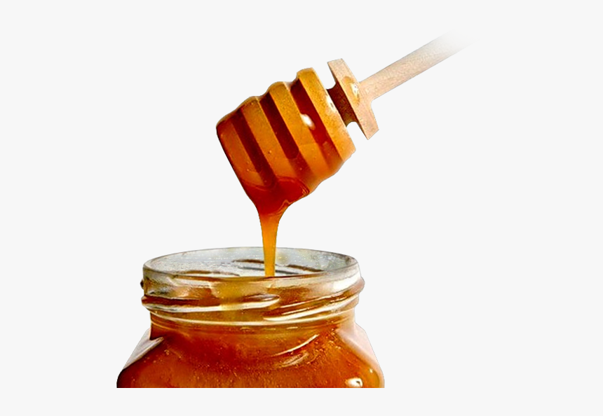 Pitt Program Council - Danger Of Honey During Pregnancy, HD Png Download