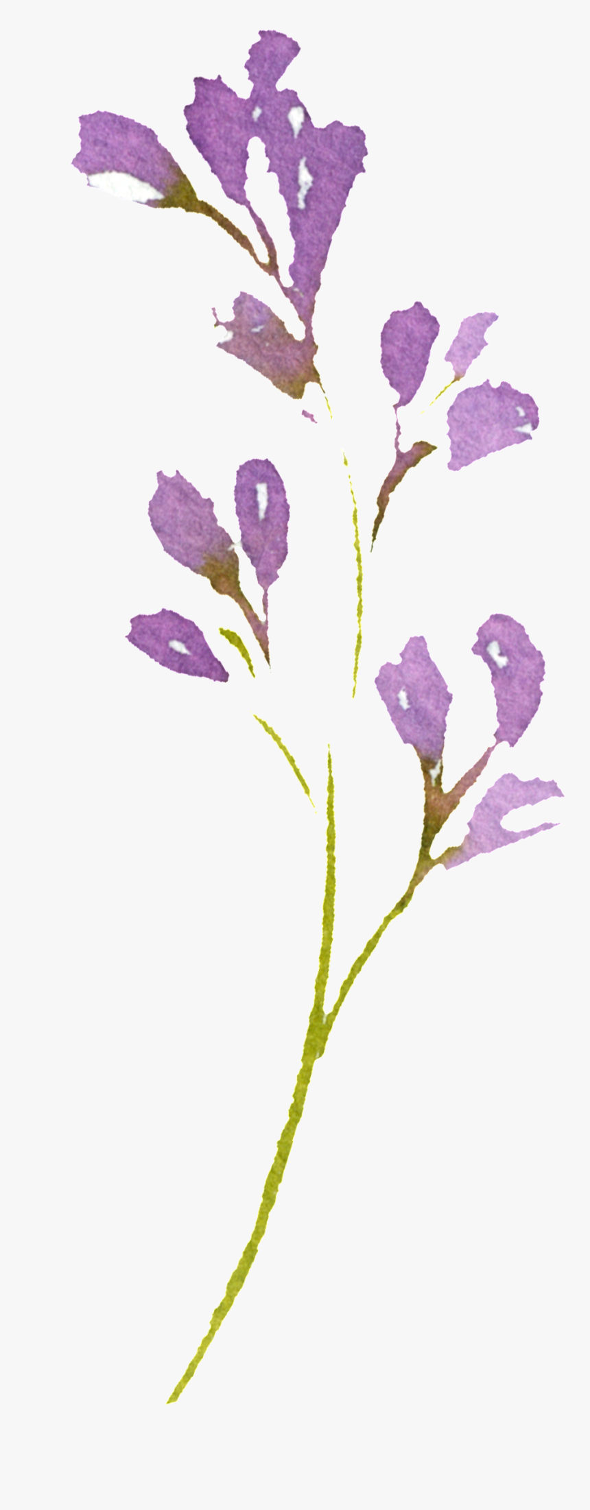 Hand Painted Romantic Purple Flower Png Transparent - Snow Crocus, Png Download
