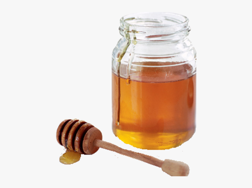 Honey Png Free Image Download - Honey Transparent Png, Png Download