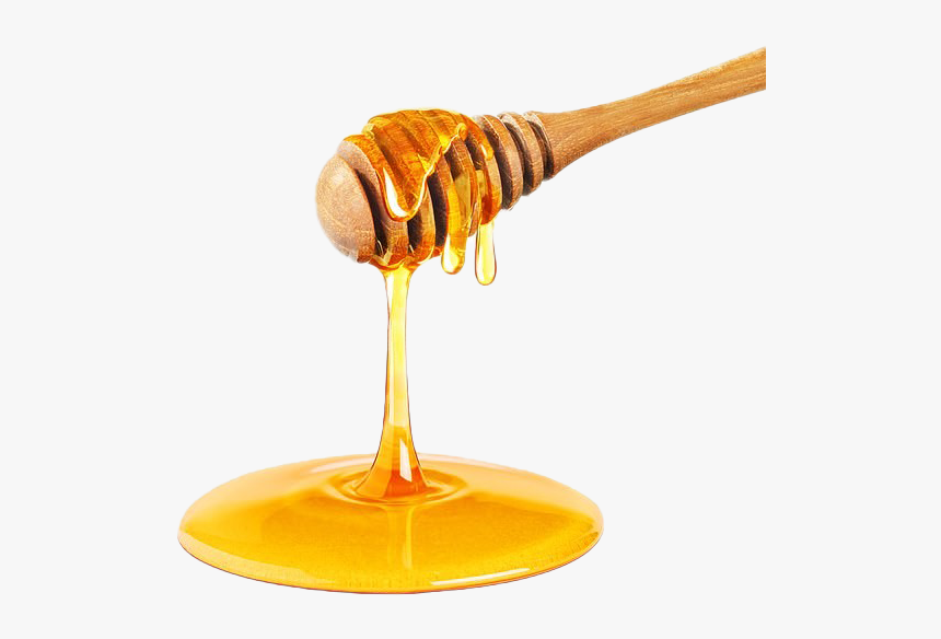 Honey Dripping From Dipper, HD Png Download , Transparent Png Image