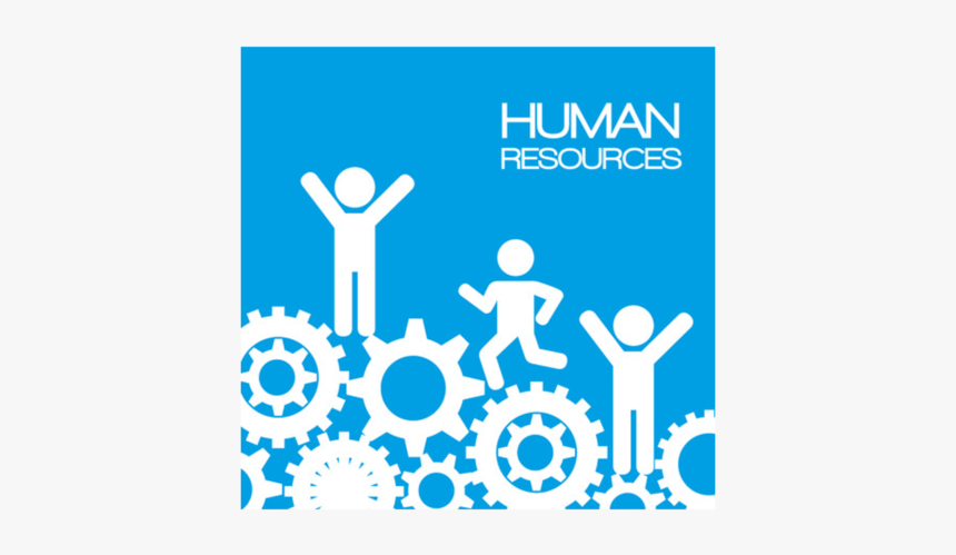 Hr Management And Education, HD Png Download