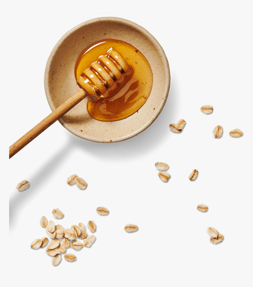 Seed, HD Png Download