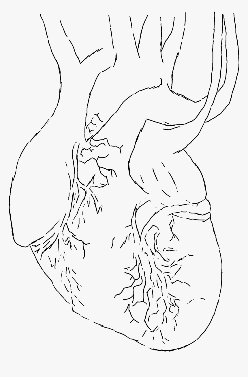 Banner Library Animator Drawing Hand - Line Art, HD Png Download