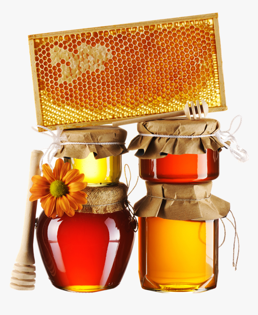 Honey Png Free Image Download - Honey, Transparent Png