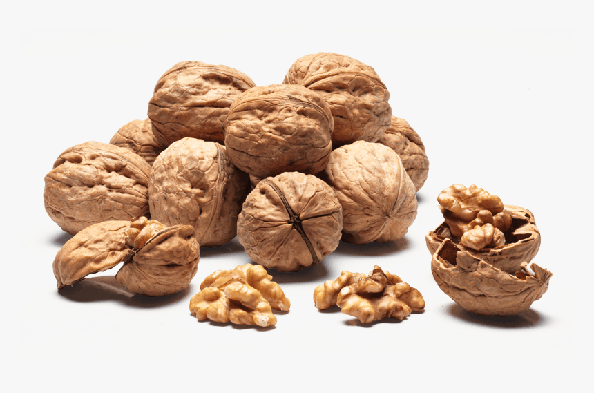Walnuts Sorrento - Walnut, HD Png Download