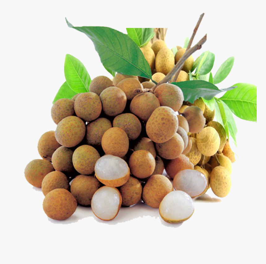 Clip Art Dragon Eye Fruit - Longan Fruit In Tamil, HD Png Download