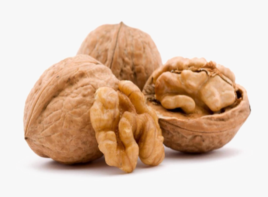 English Walnut Png Transparent Image Walnut Meaning In Urdu, Png