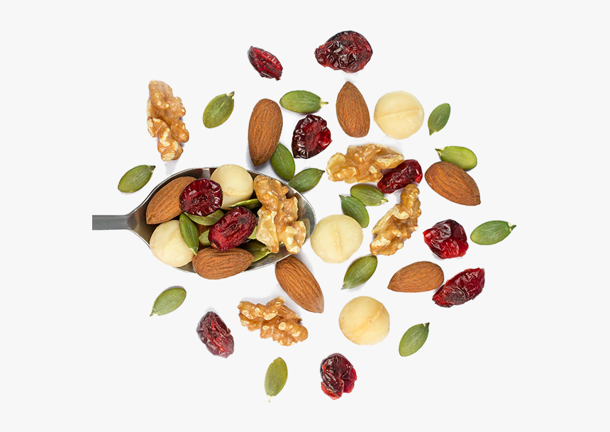 dry fruits png transparent png transparent png image pngitem dry fruits png transparent png