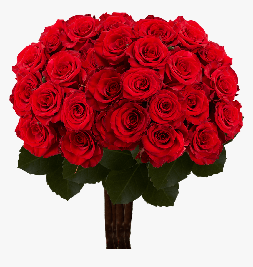 Bunch Of Roses, HD Png Download