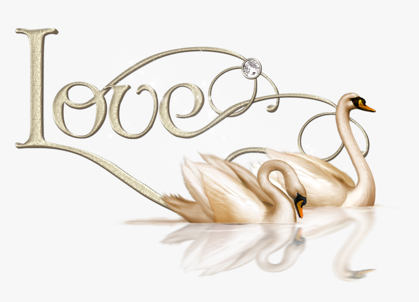 Valentine Love Swans Png Clipart - Love Swan Clip Art, Transparent Png