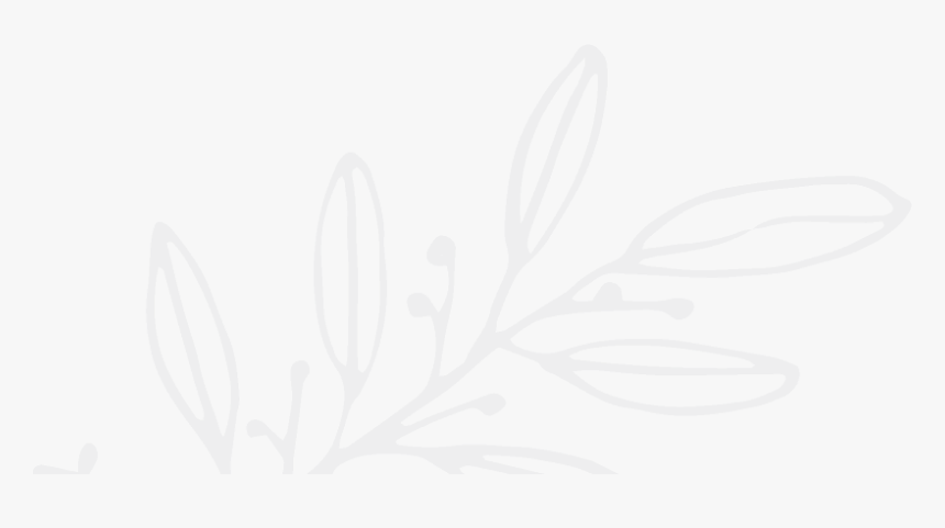 Line Art, HD Png Download