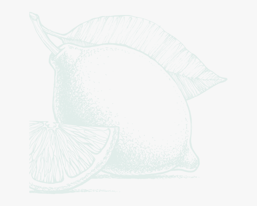 Sketch, HD Png Download