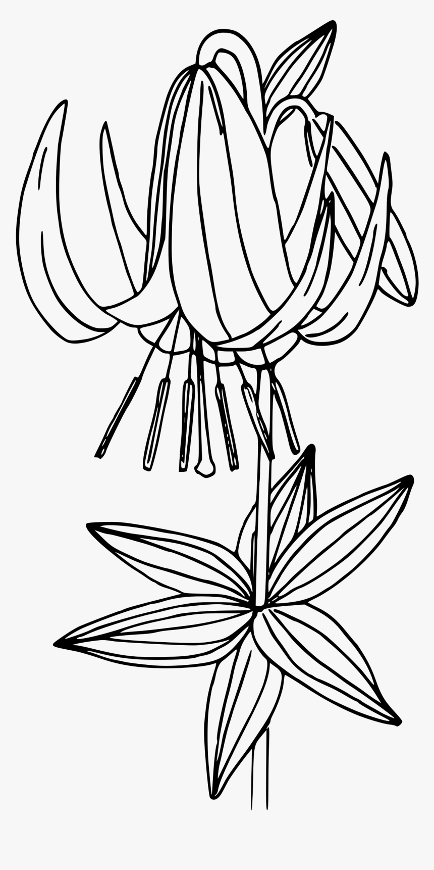 Transparent Western Clip Art Png - Clip Art, Png Download