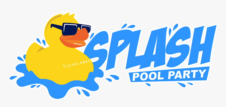 Duck, HD Png Download