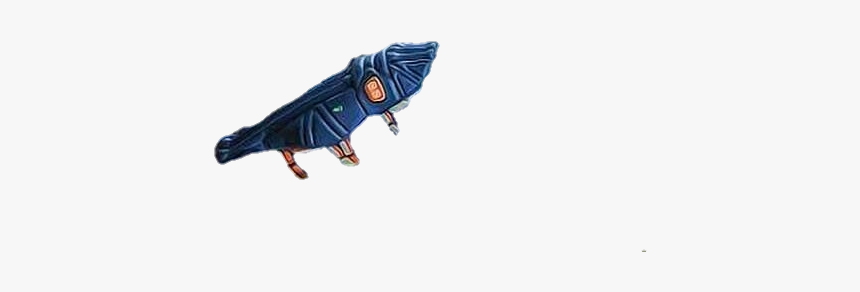 Cicada, HD Png Download