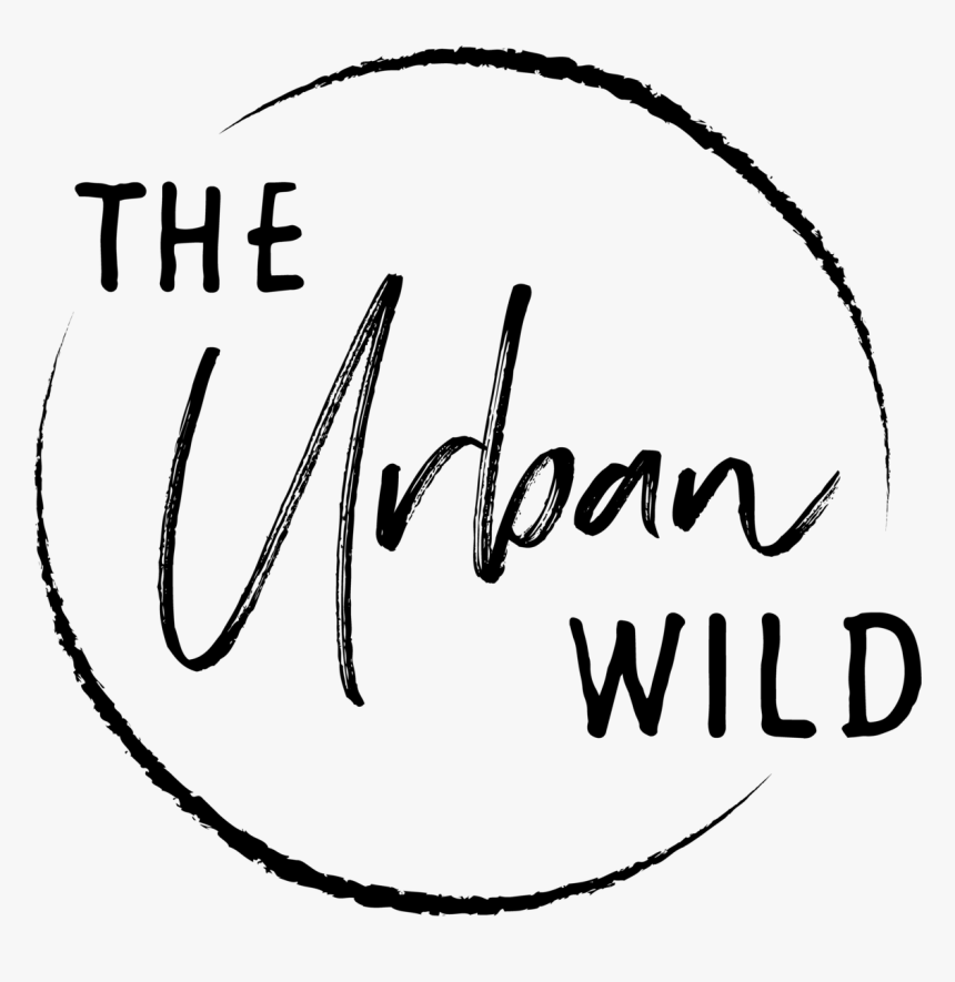 Clipart Black And White Drawing Instagram Urban - Calligraphy, HD Png Download