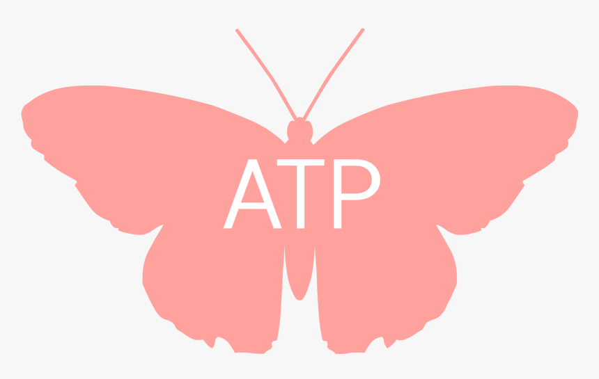 Atp Butterfly - Lycaenid, HD Png Download