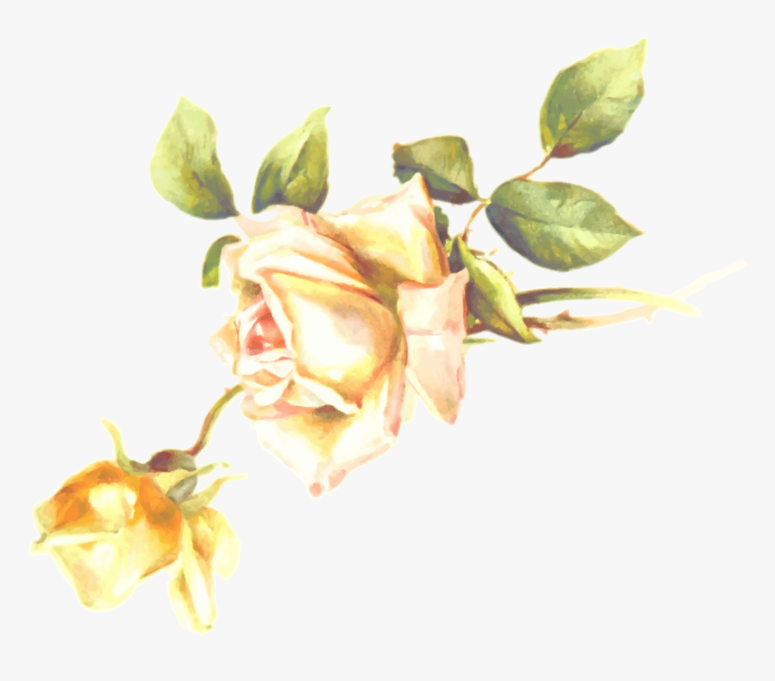 Clip Art, HD Png Download