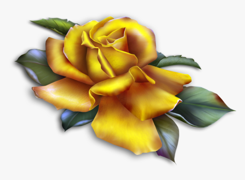 Roses Clipart Yellow, HD Png Download