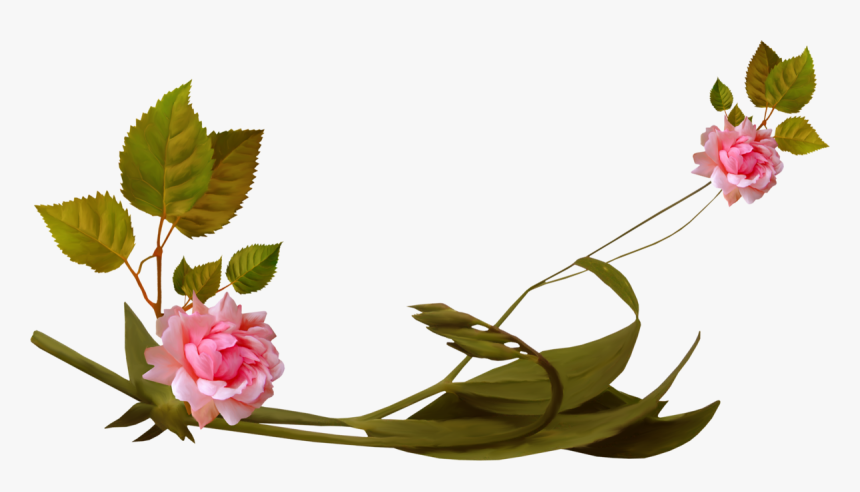 Клипарты На Прозрачном Фоне - Clip Art, HD Png Download