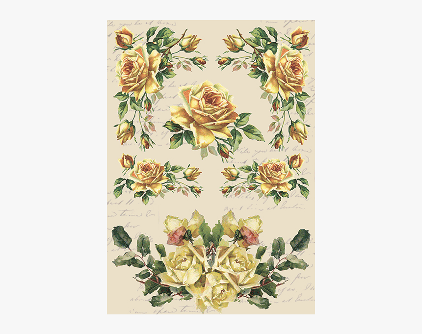 Garden Roses, HD Png Download