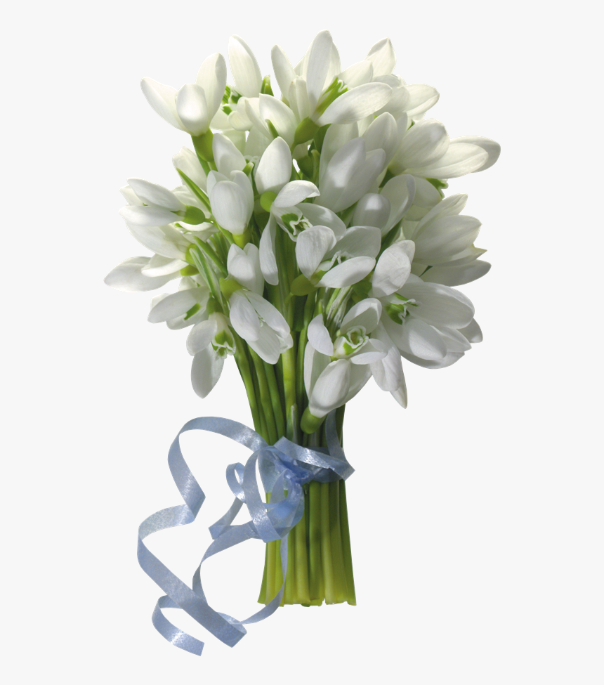 Вітання З Восьмим Березня, HD Png Download