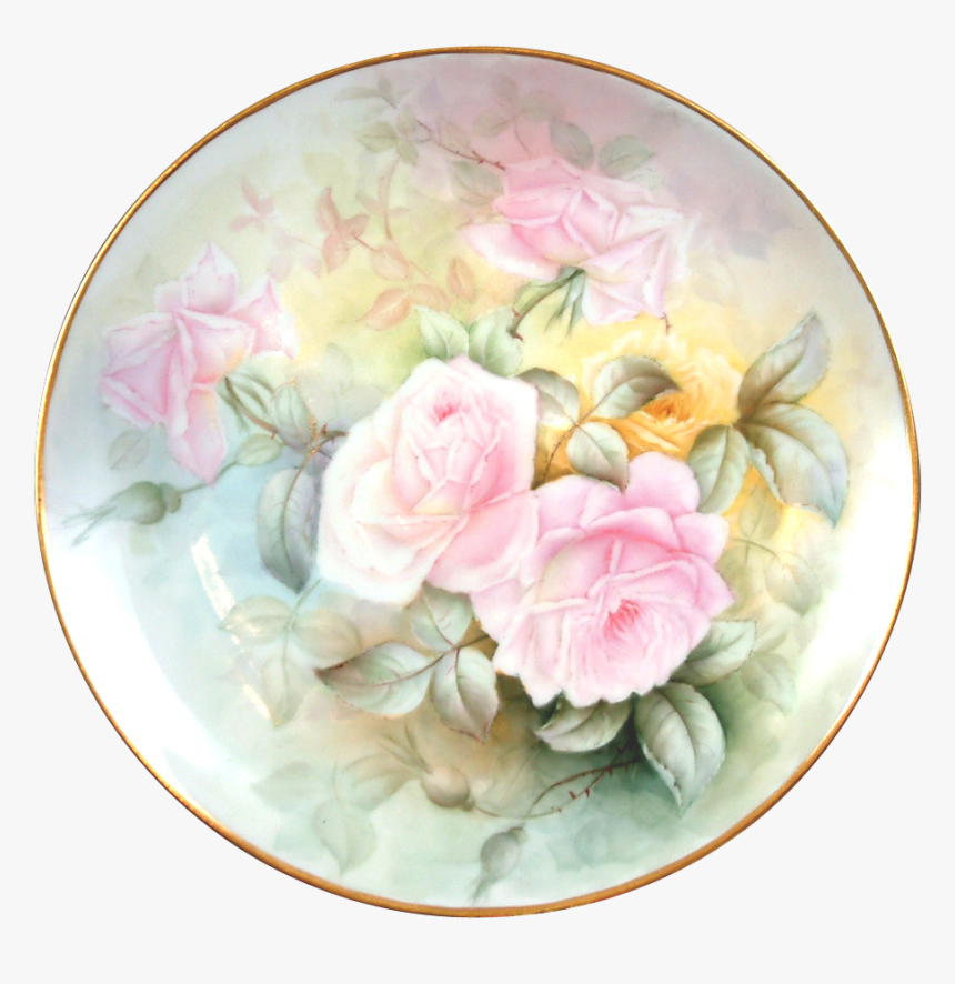 Garden Roses, HD Png Download