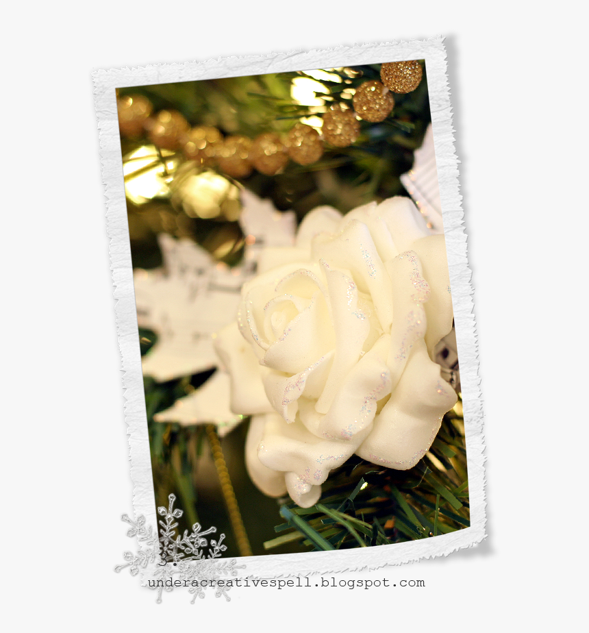 Garden Roses, HD Png Download