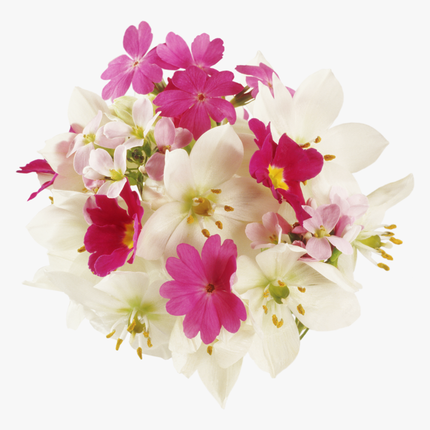 Name Day Flowers, HD Png Download , Transparent Png Image PNGitem