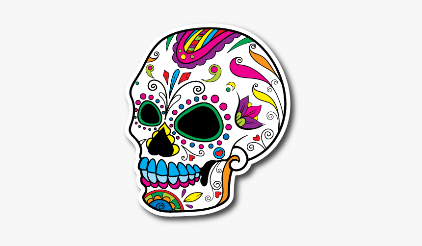 Clipart Skull Color, HD Png Download
