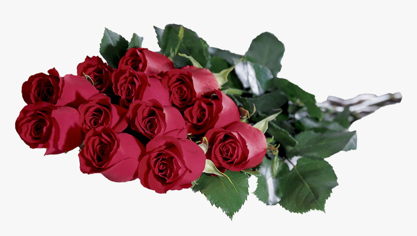 Lily Flower Png, Transparent Png