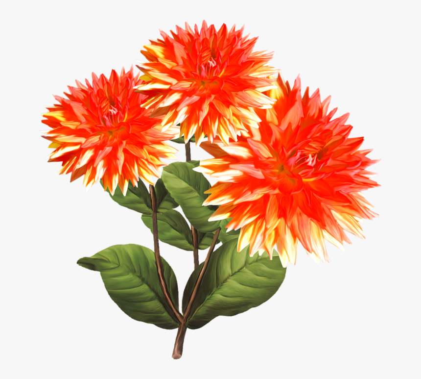 8-8 - Portable Network Graphics, HD Png Download