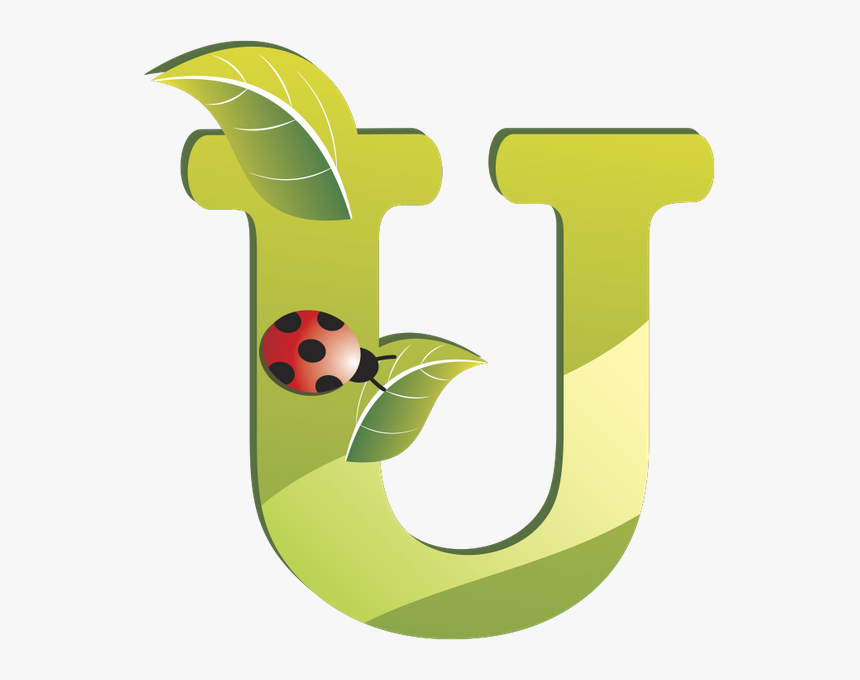 Буквы С Листьями, Зеленый Лист, Зеленый Алфавит, Экология,, HD Png Download