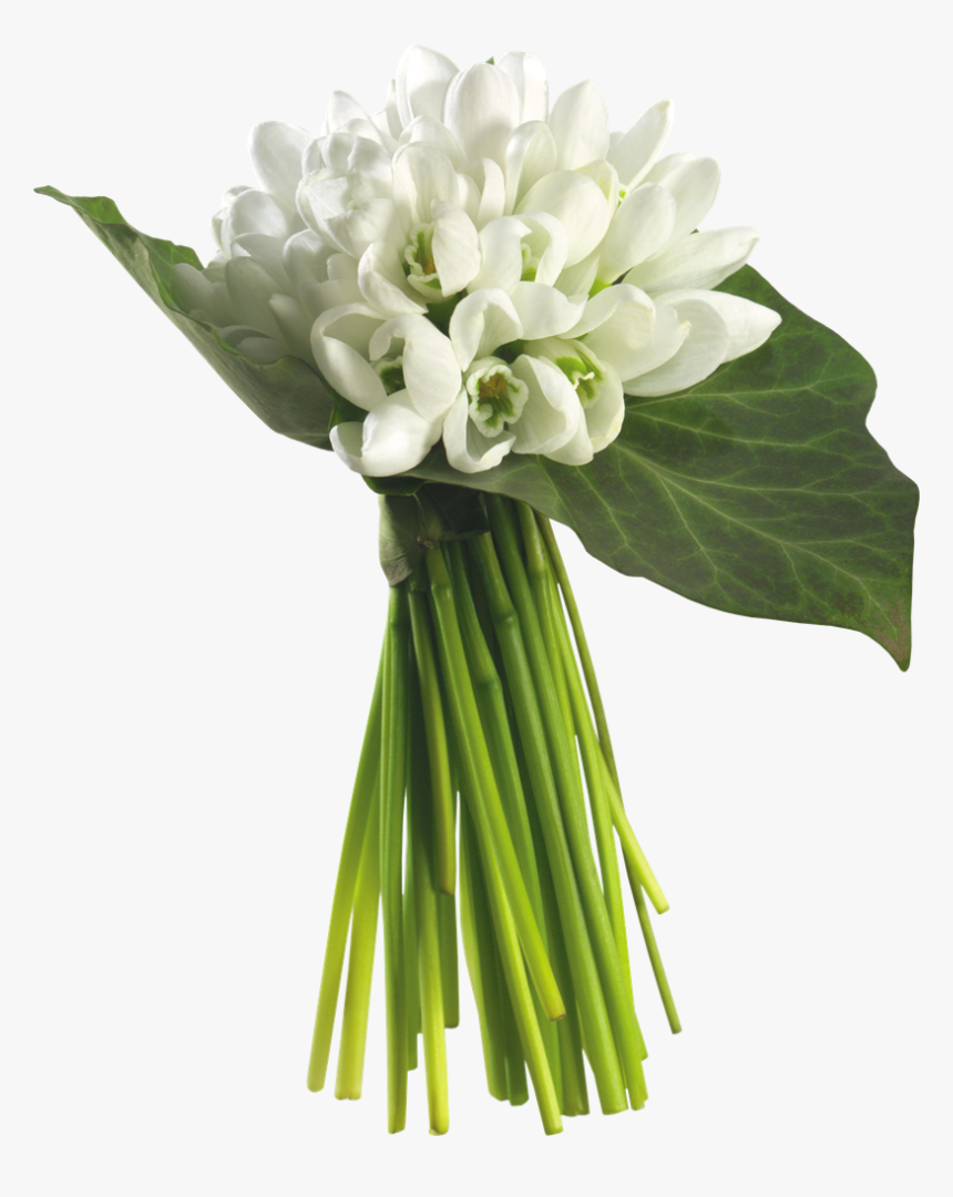 Bouquet Of Jasmine Flowers, HD Png Download