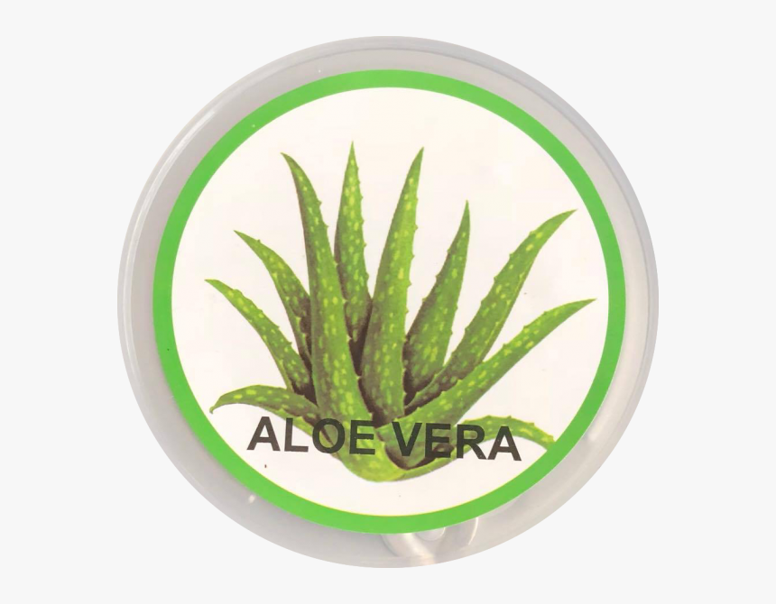 Liquid Wax-aloevera 1000g - Agave, HD Png Download