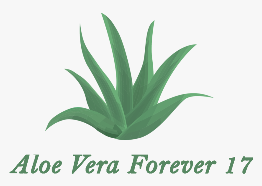 Agave Azul, HD Png Download