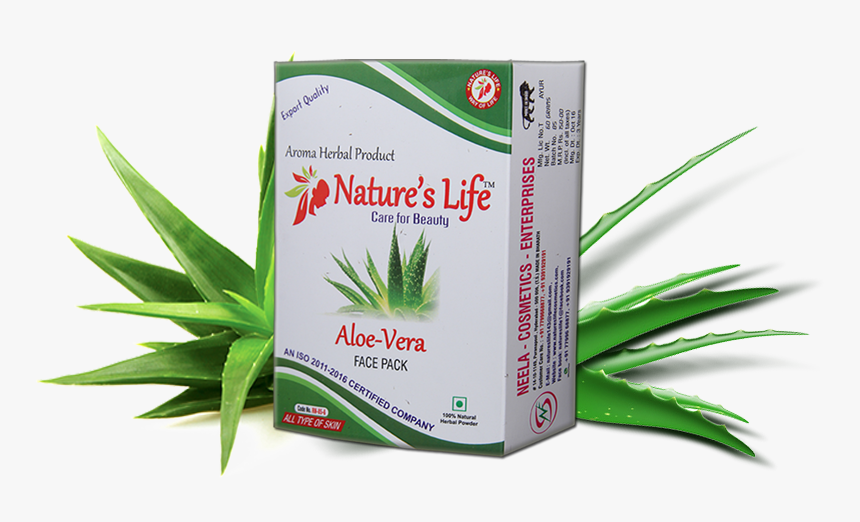 Aloe Vera Face Pack - Aloe, HD Png Download