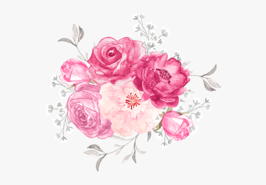 Garden Roses, HD Png Download