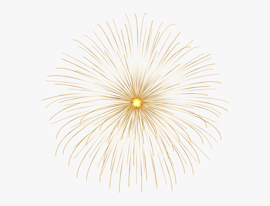 Flower, HD Png Download