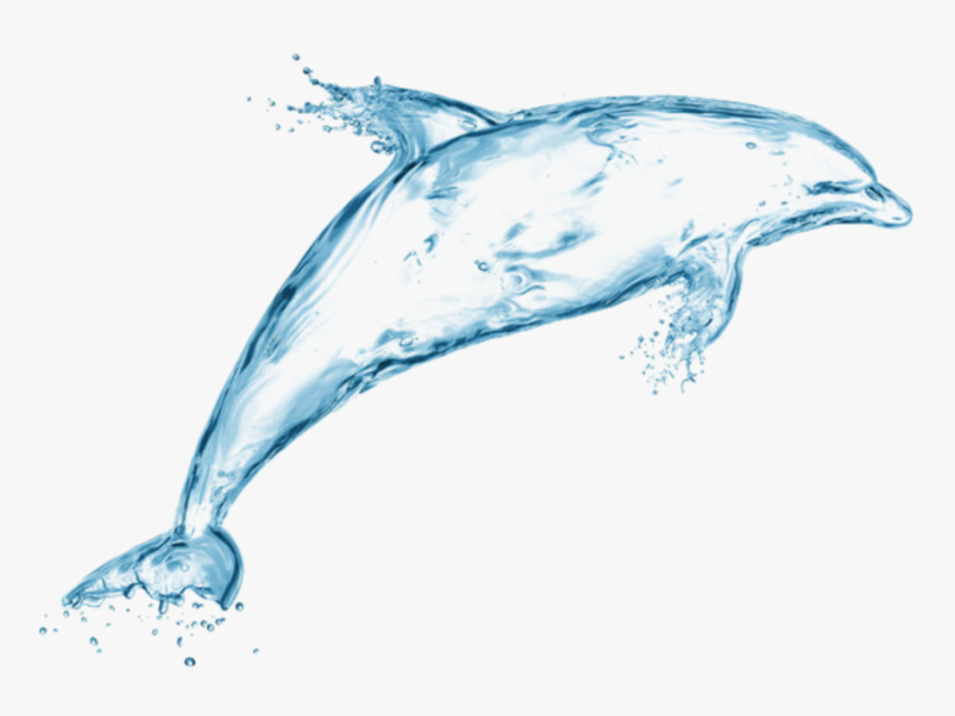 Dolphin Made Of Water, HD Png Download